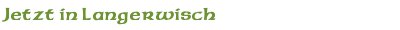 jetzt Kurs in Langerwisch